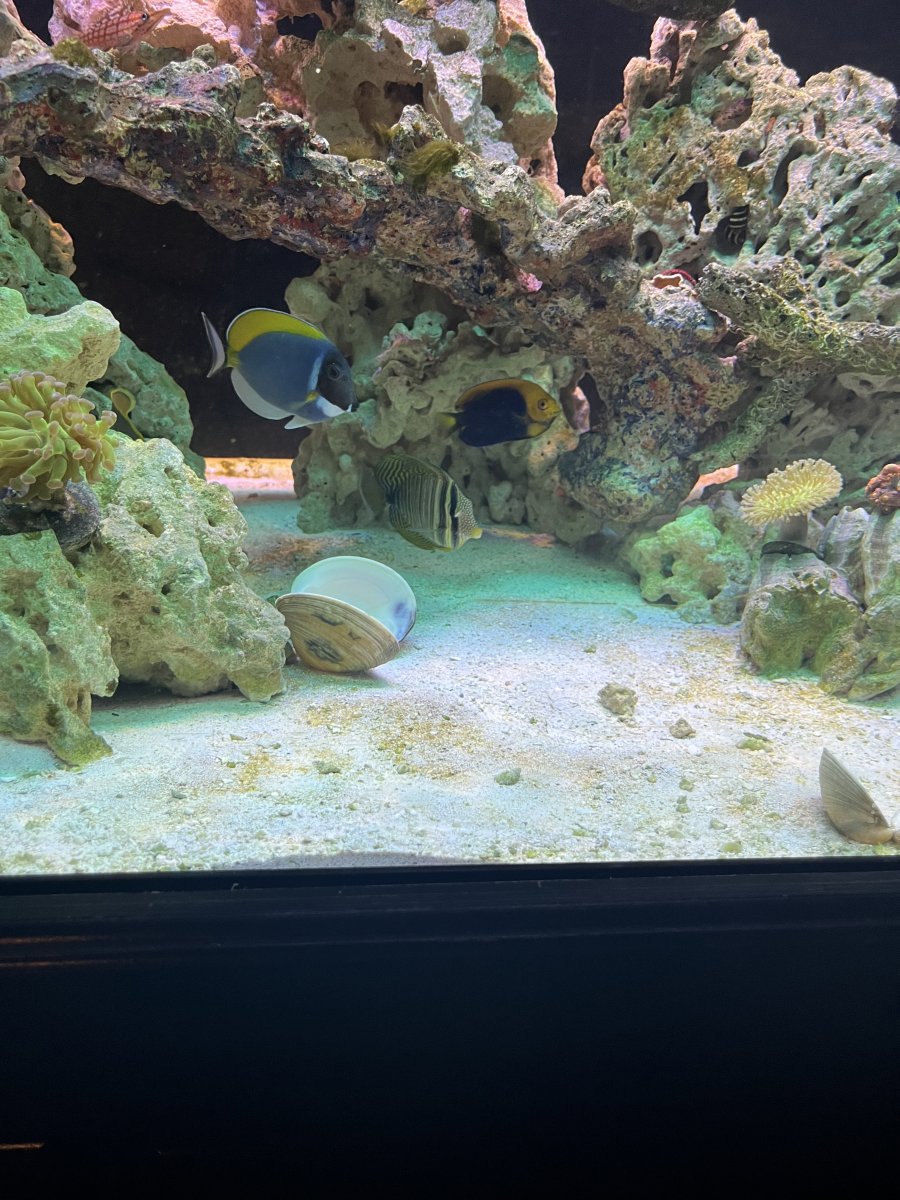 IMG_0680.jpeg