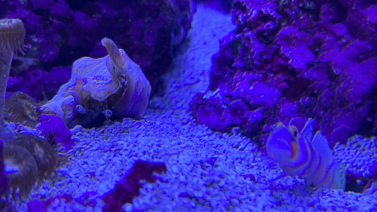 IMG_0680.jpg