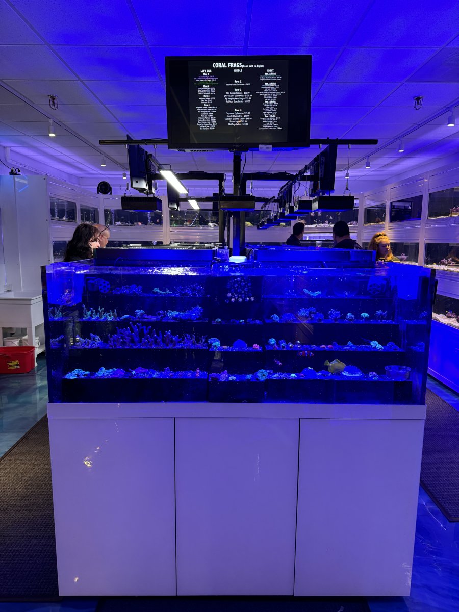Grand Opening - The Fish Room Superstore !!!!!! | Page 2 | Reef2Reef