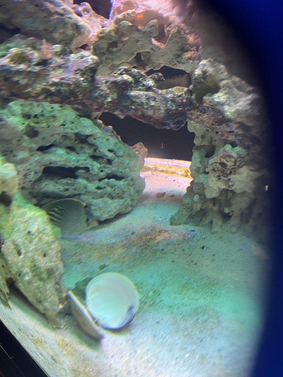 IMG_0684.jpeg
