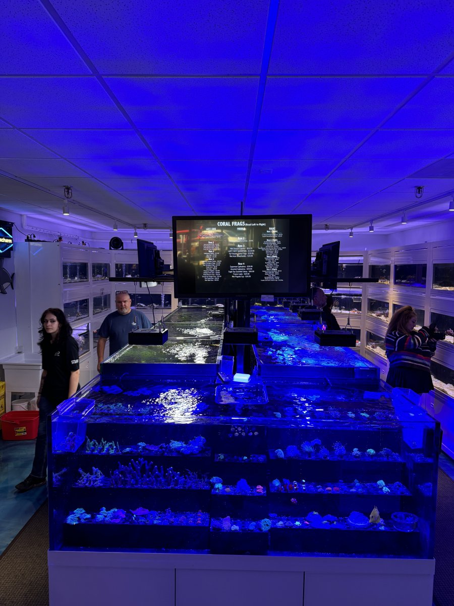 Grand Opening - The Fish Room Superstore !!!!!! | Page 2 | Reef2Reef