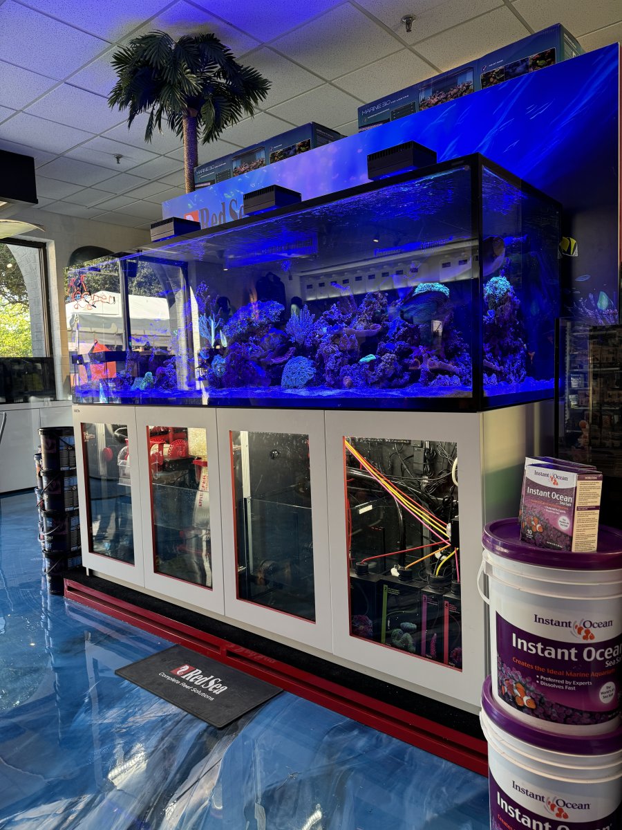 Grand Opening - The Fish Room Superstore !!!!!! | Page 2 | Reef2Reef