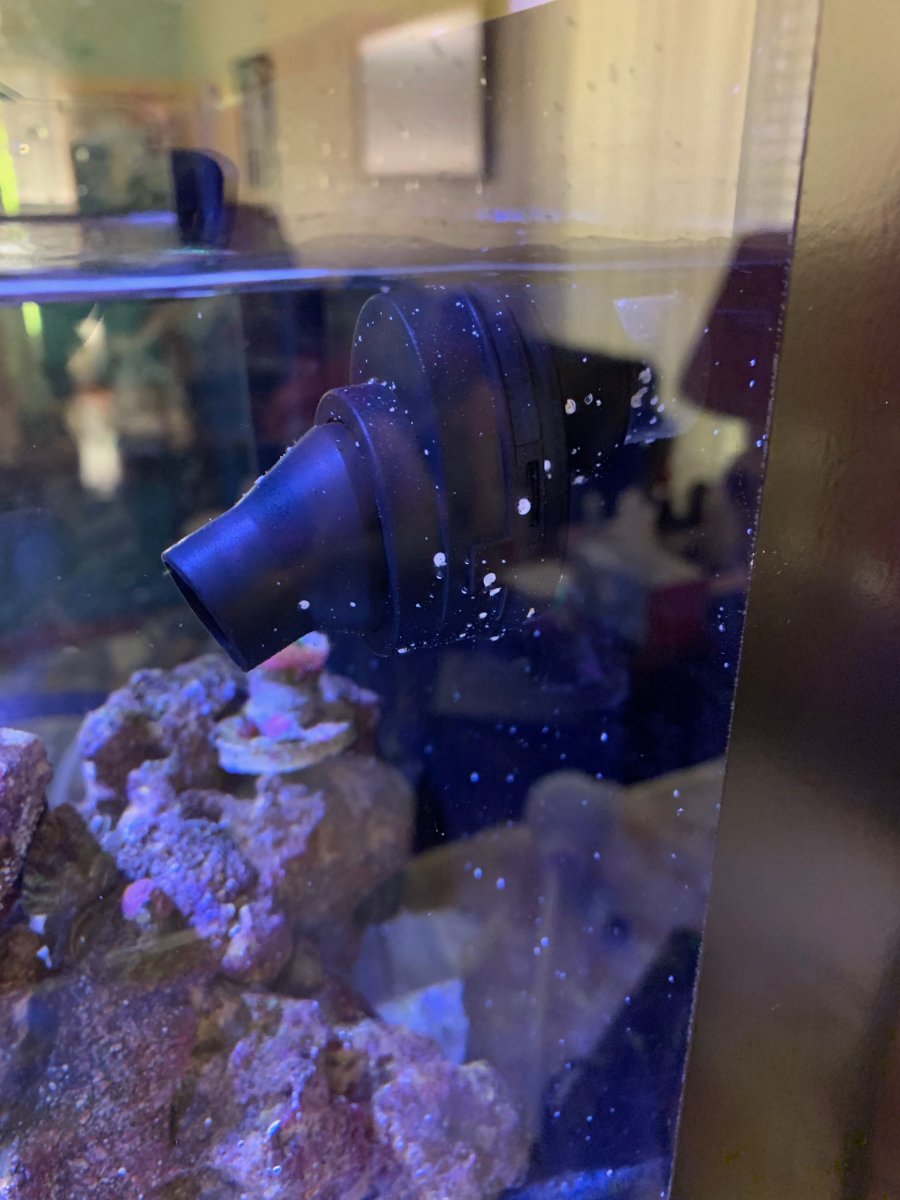 IMG_0690.jpeg