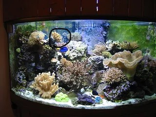 IMG_0690.jpeg