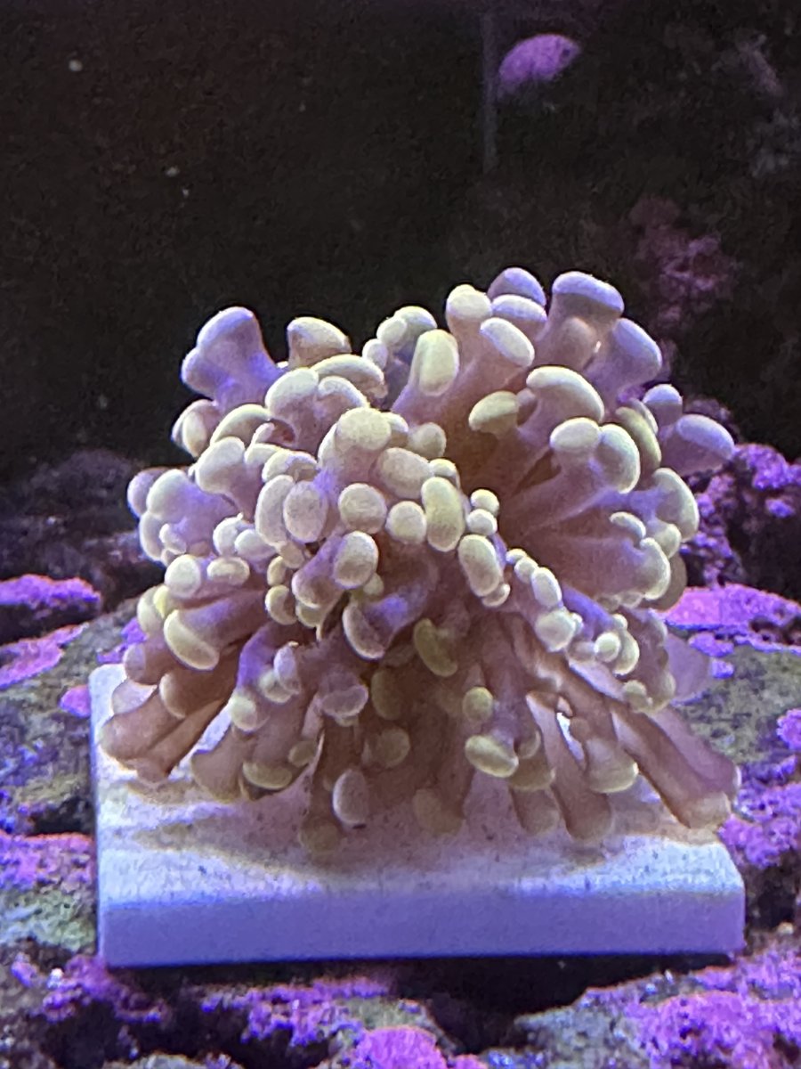 IMG_0693.jpeg
