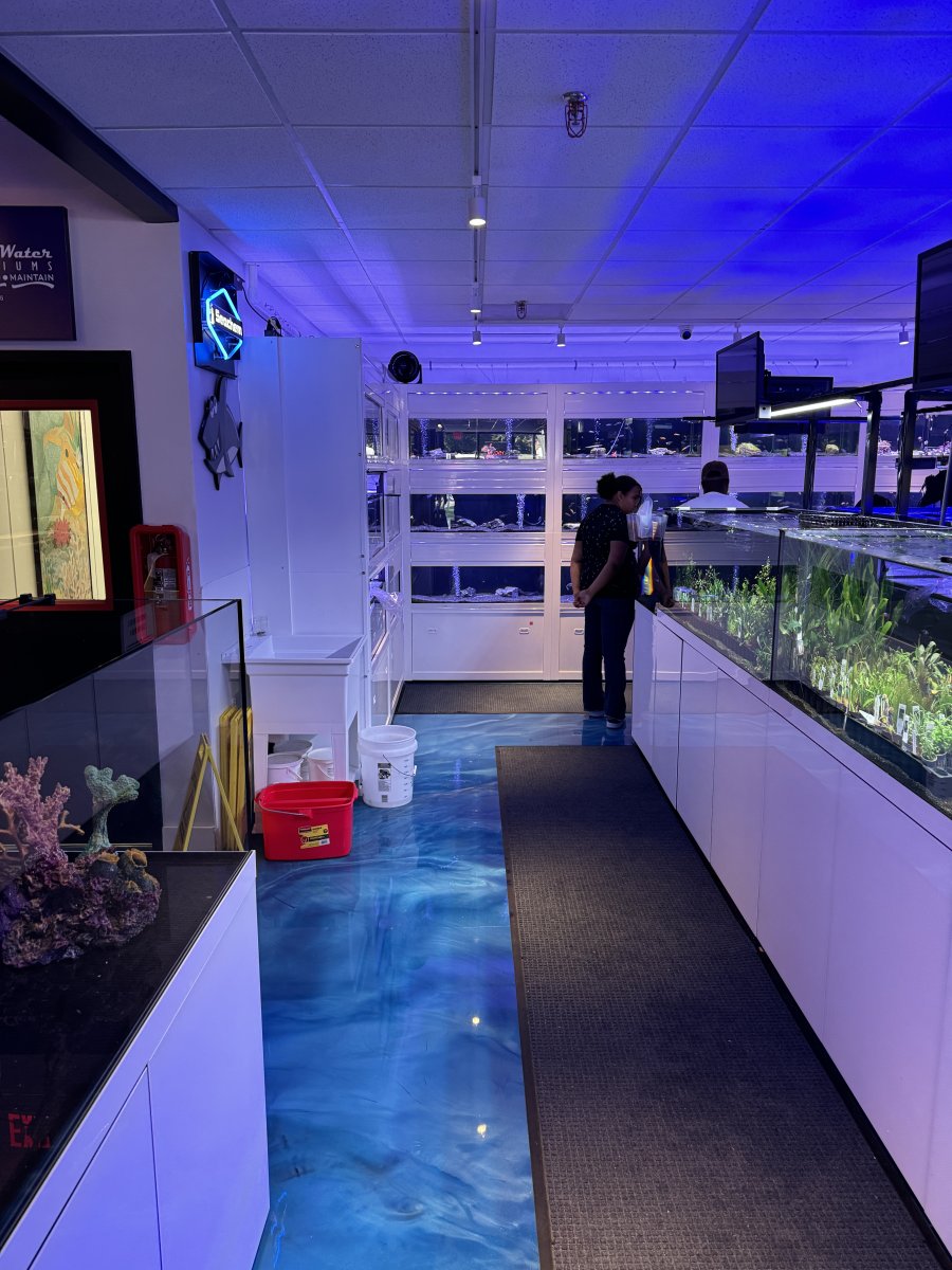 Grand Opening - The Fish Room Superstore !!!!!! | Page 2 | Reef2Reef