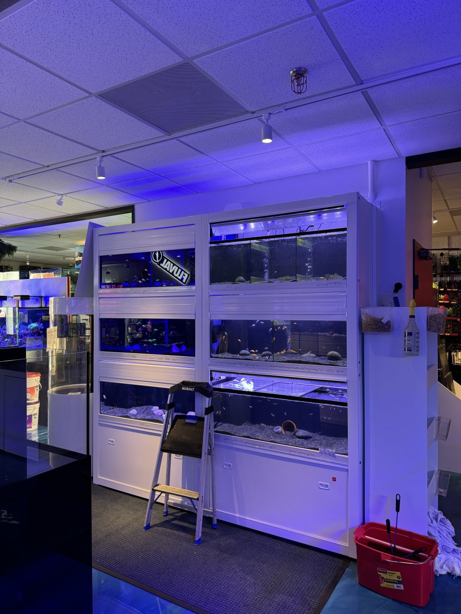 Grand Opening - The Fish Room Superstore !!!!!! | Page 2 | Reef2Reef
