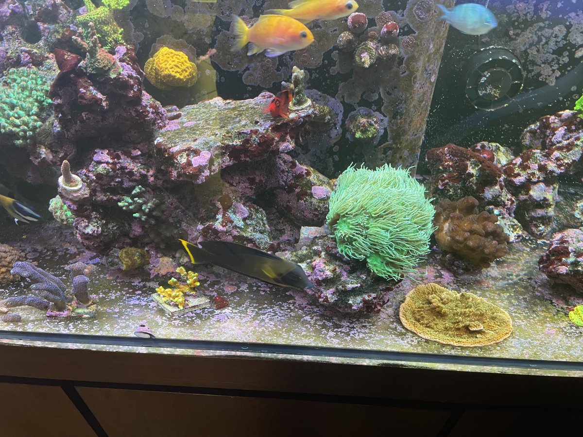 IMG_0699.jpeg