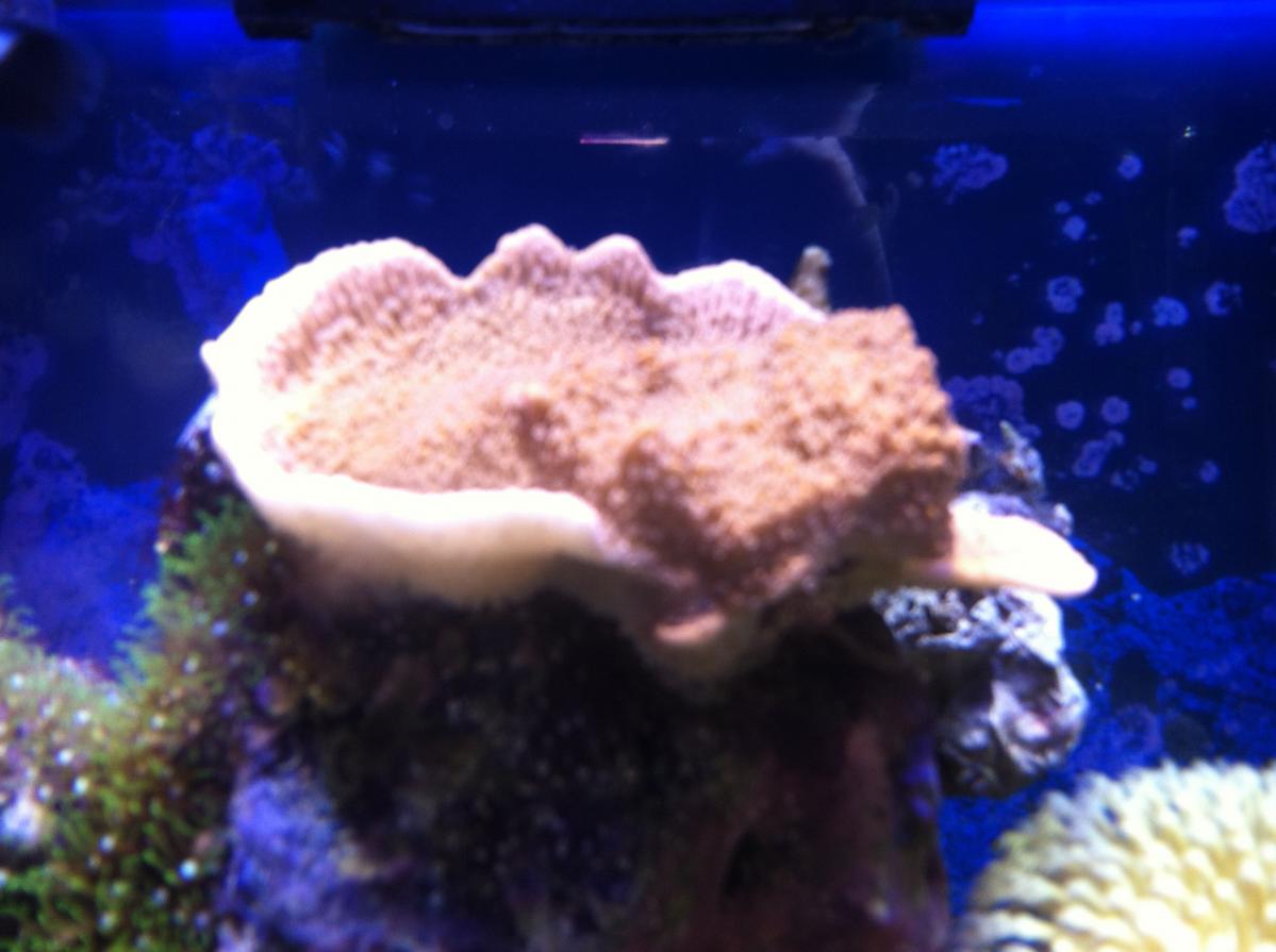 IMG_0700.jpg