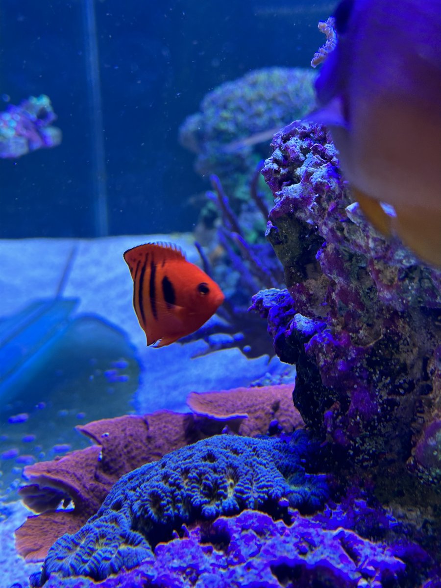 IMG_0704.jpeg
