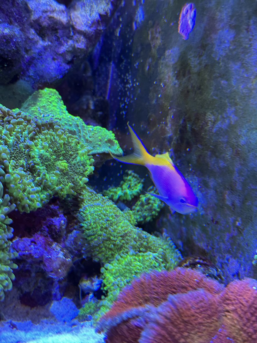 IMG_0705.jpeg