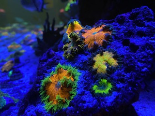 IMG_0705.jpg