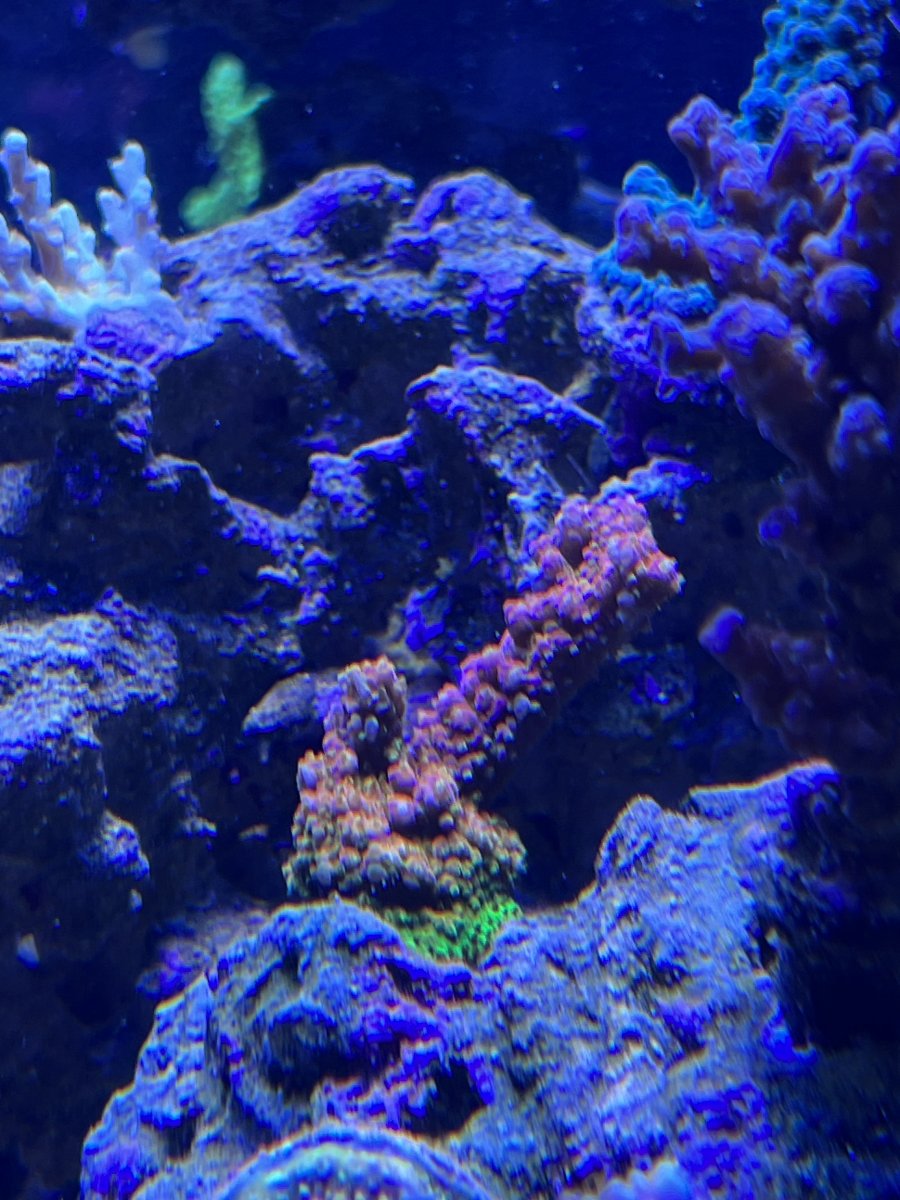 IMG_0707.jpeg