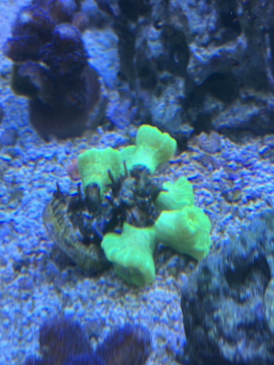 IMG_0709.jpeg