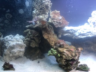 IMG_0710.jpg