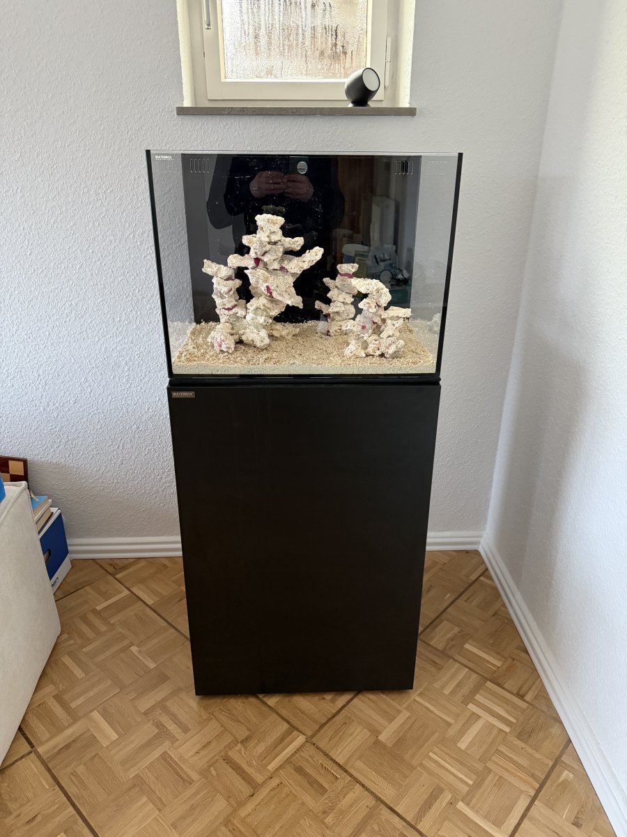 IMG_0717.jpeg