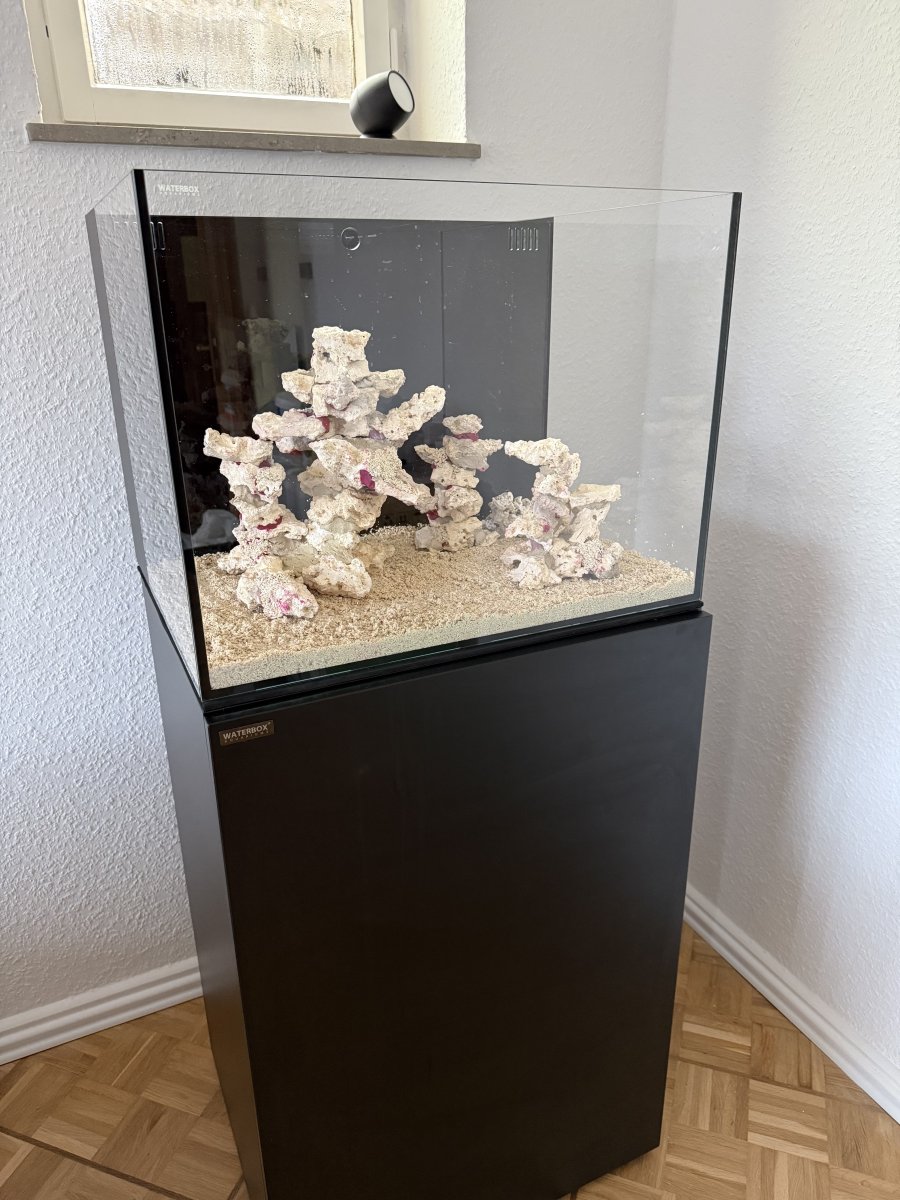 IMG_0718.jpeg