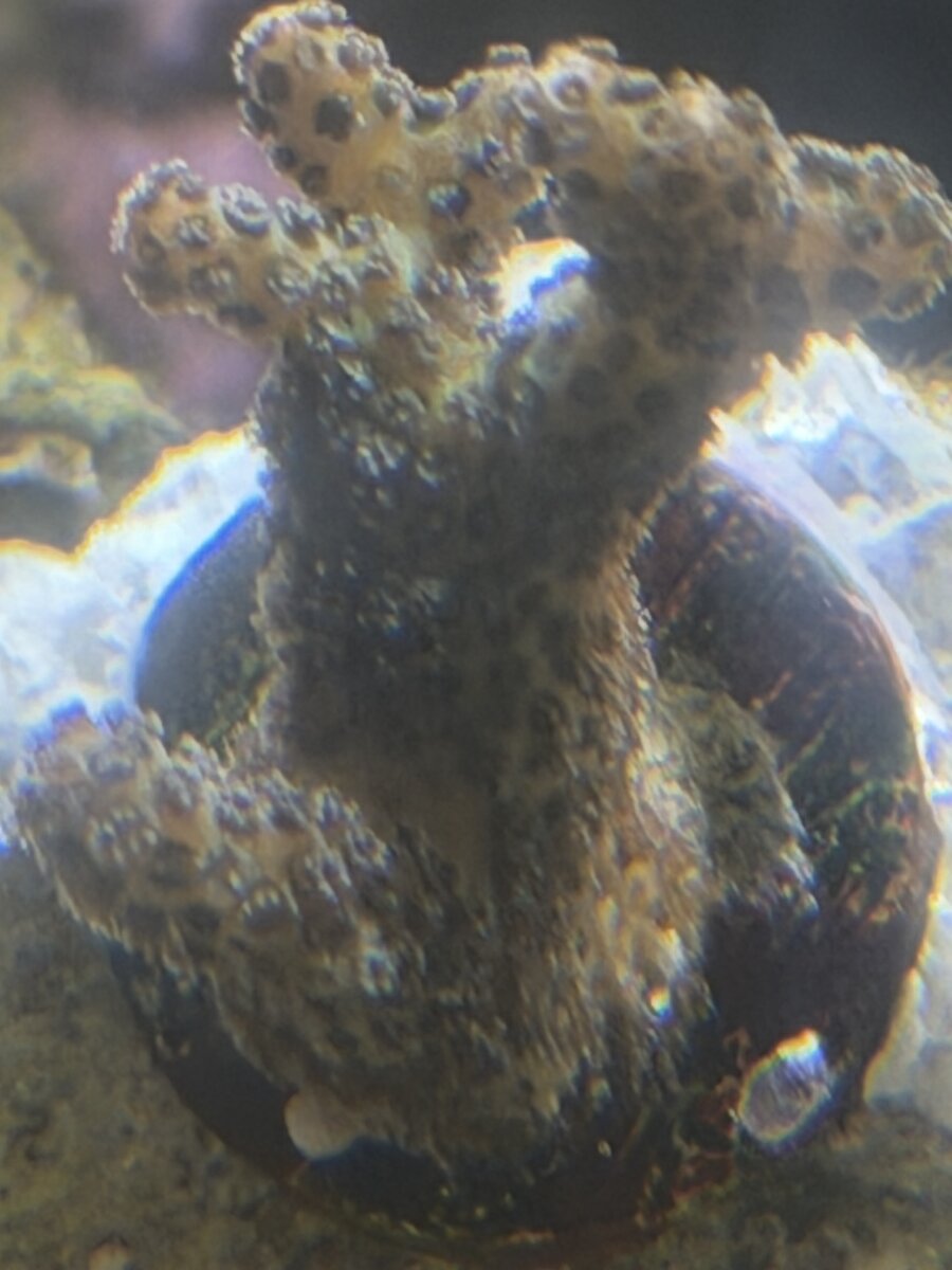 IMG_0721.jpeg