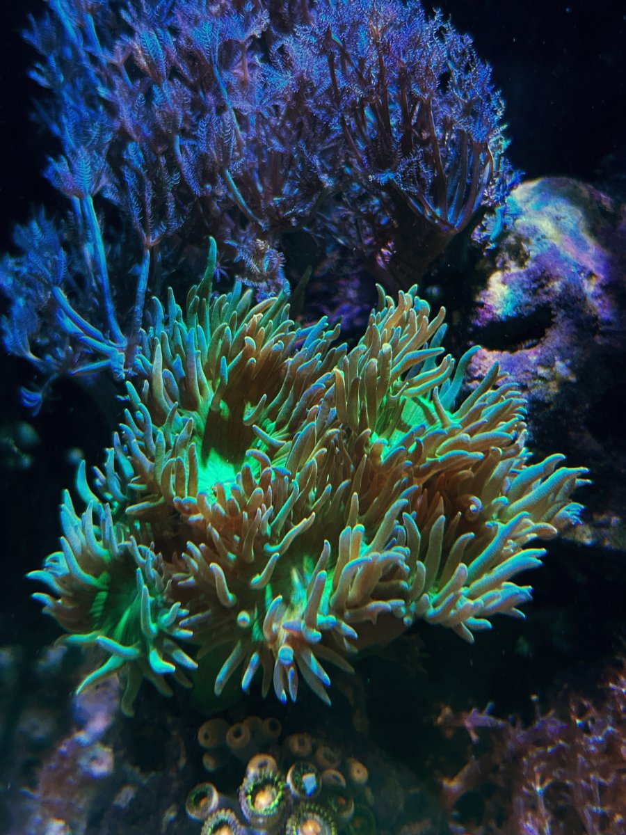 IMG_0734.jpeg