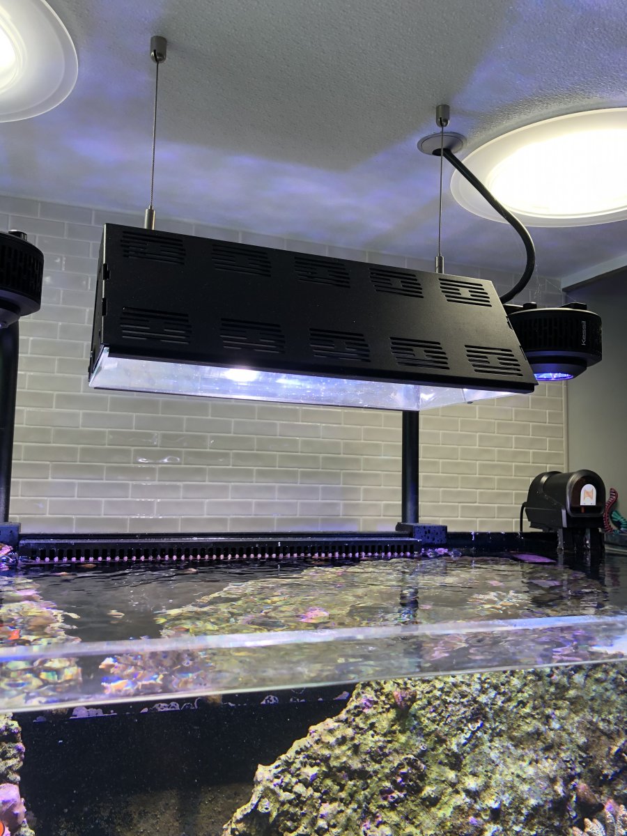 100 Reef Brite Metal Halide Pendant Ballast REEF2REEF