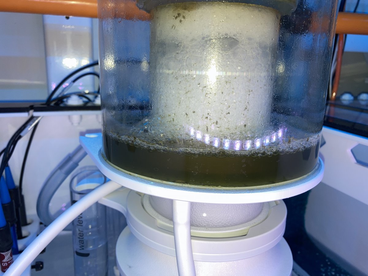 Large Build - ReefSentinel’s 200g Mini Barrier Reef build. | Page 10 ...