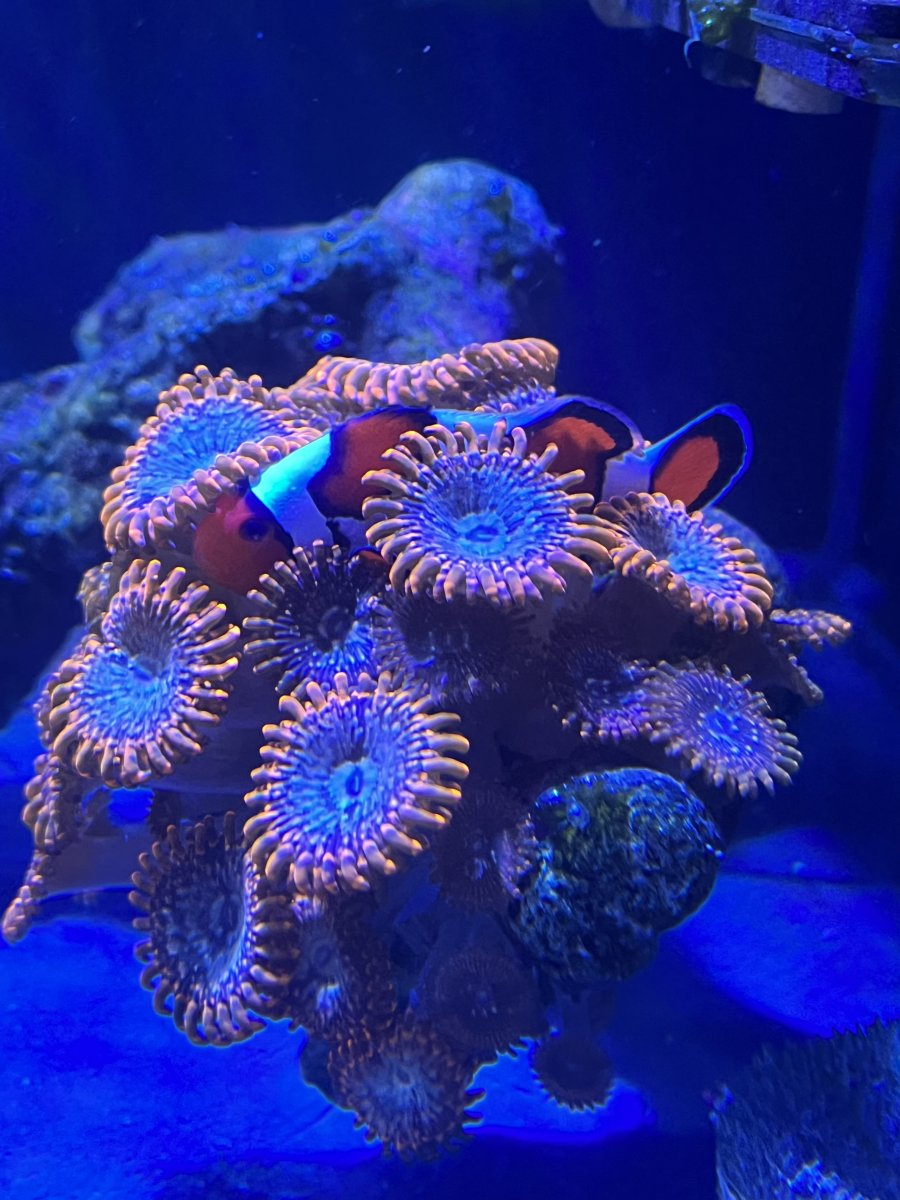 IMG_0742.jpeg