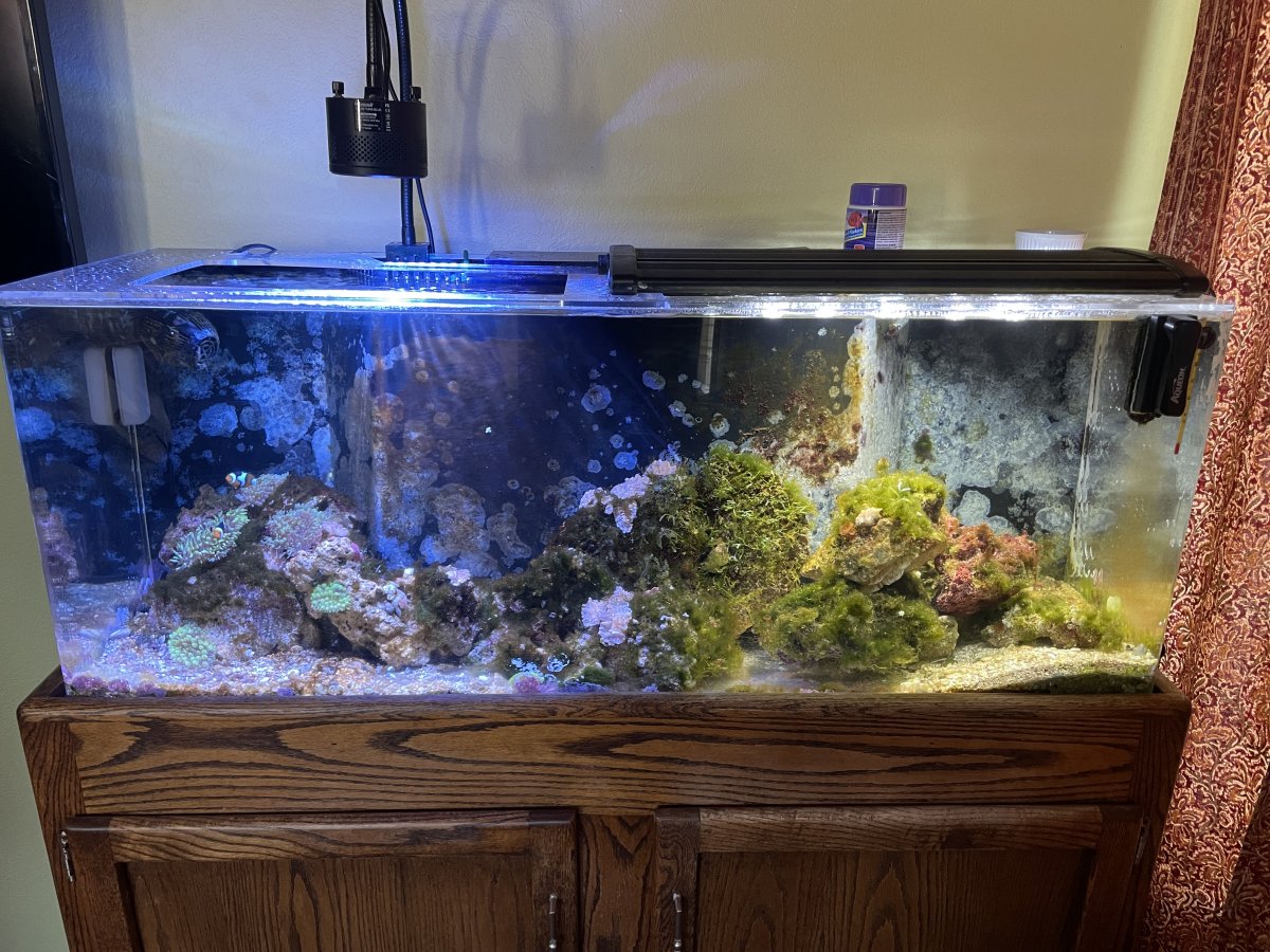 Craigslist aquarium 2025