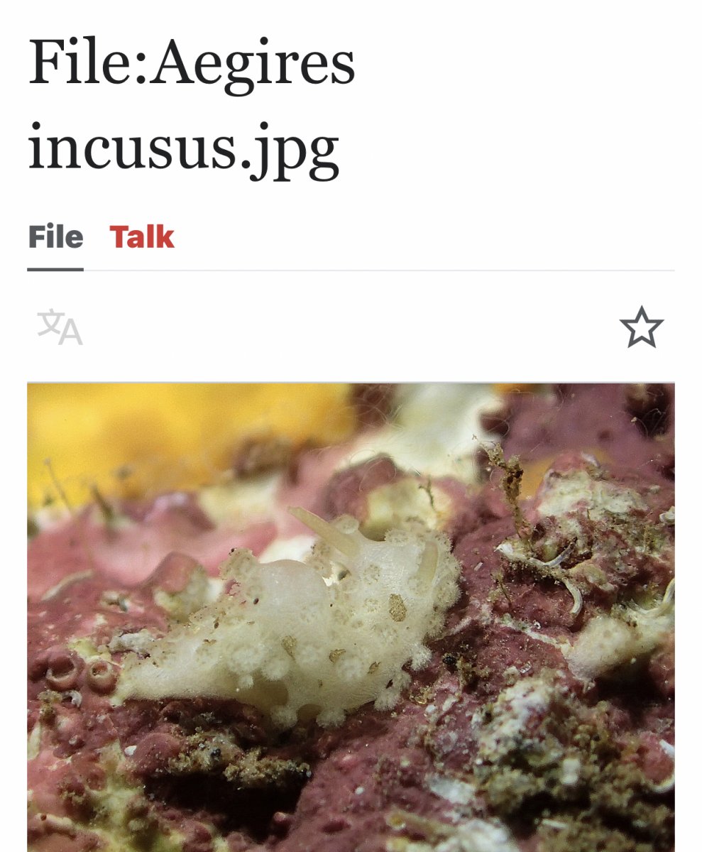 IMG_0745.jpeg