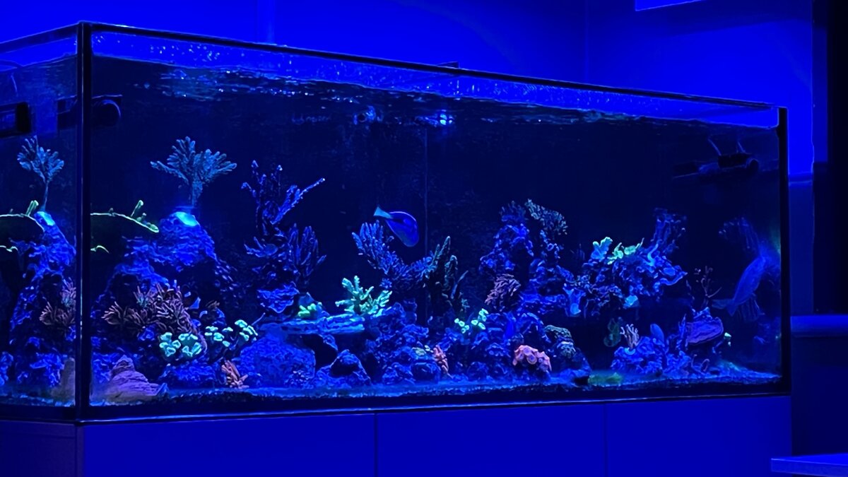 IMG_0747.jpeg