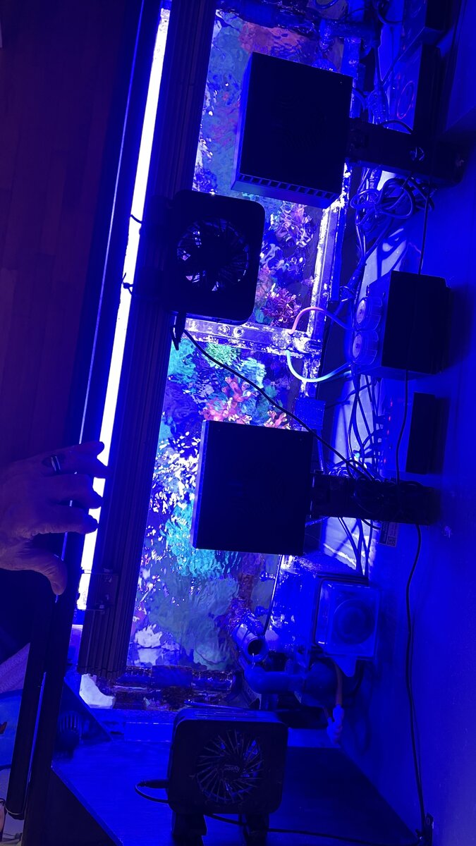 IMG_0747.jpeg