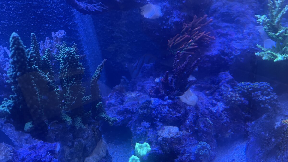 IMG_0754.jpeg
