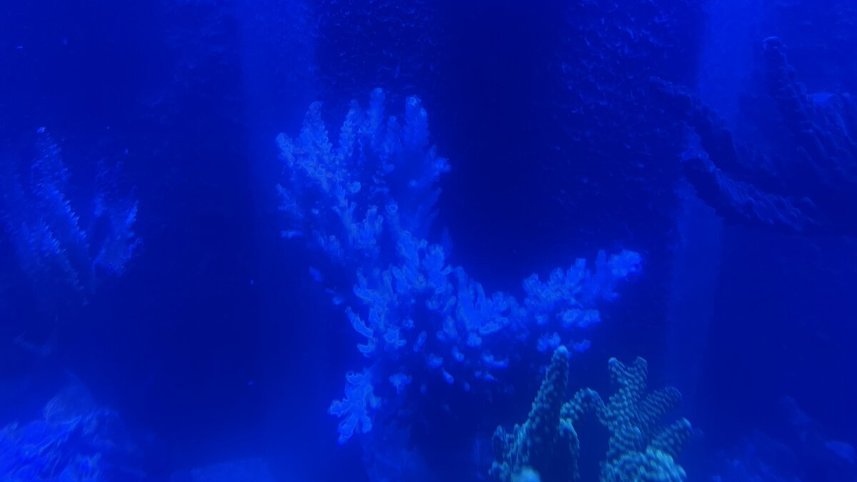 IMG_0757.jpeg