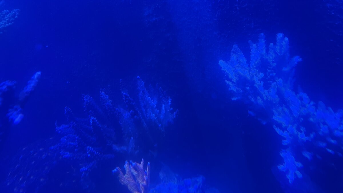 IMG_0758.jpeg