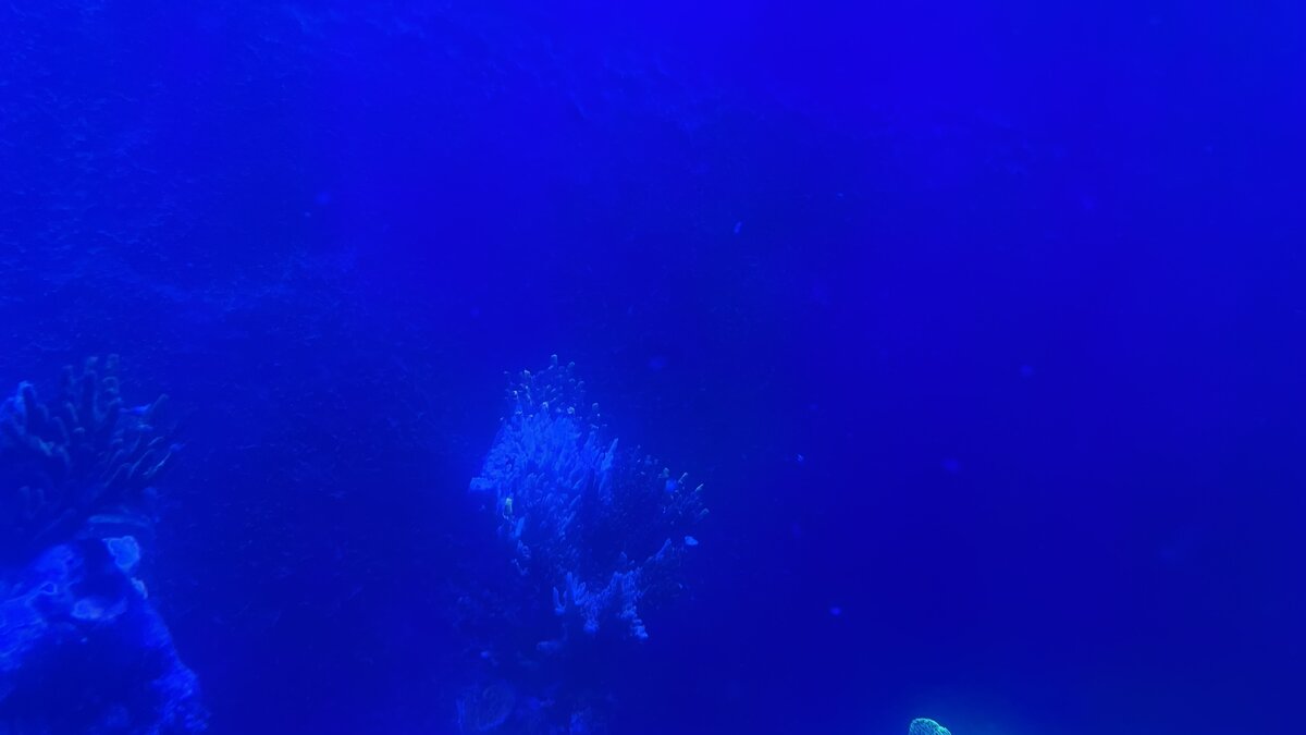 IMG_0759.jpeg