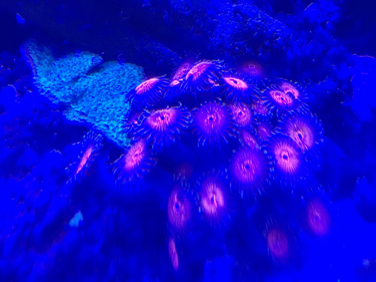 IMG_0759.JPG