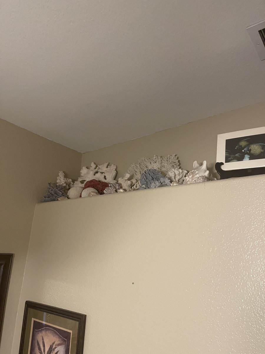 IMG_0760.jpeg