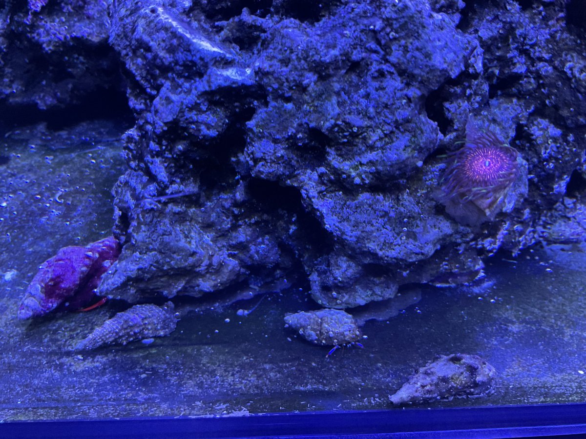 IMG_0763.jpeg