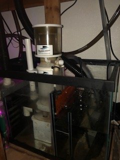 IMG_0768.jpg