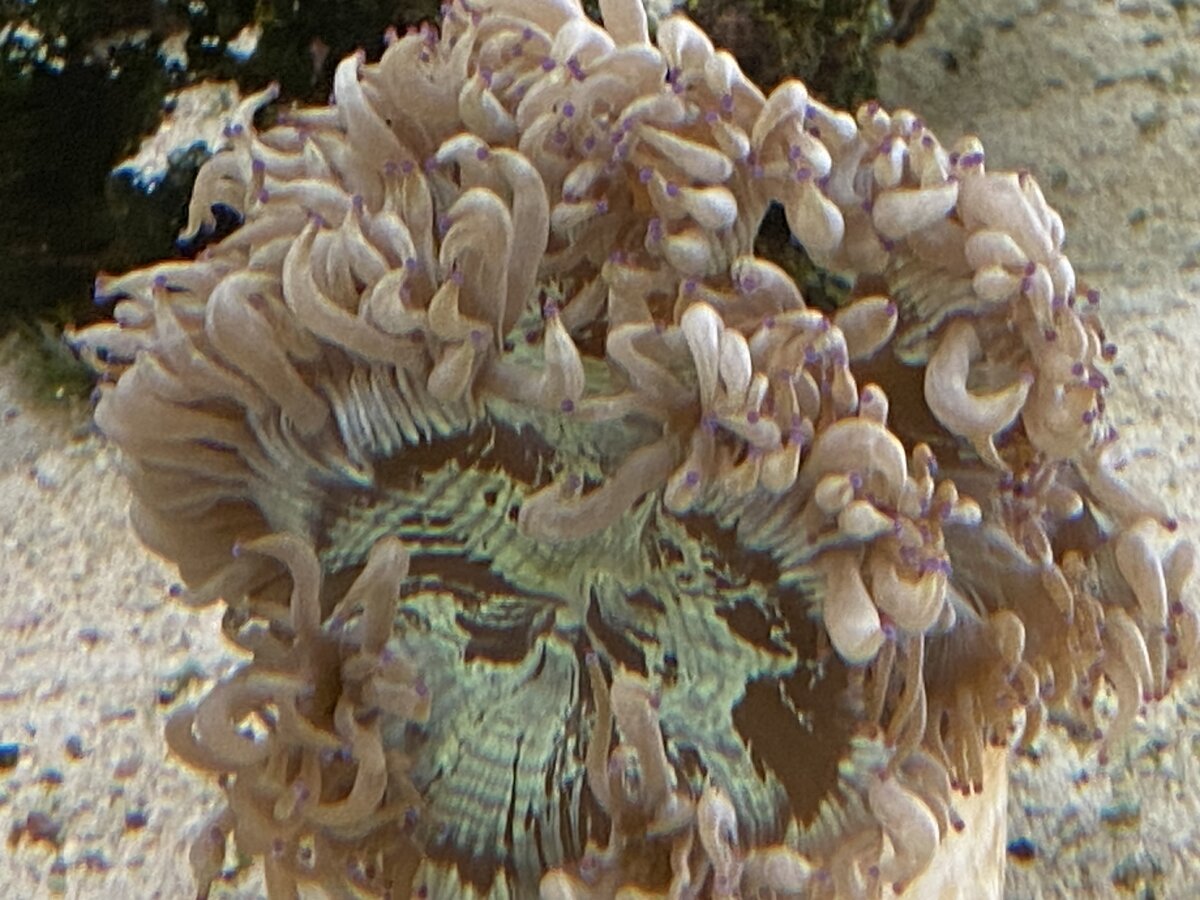 IMG_0770.jpeg