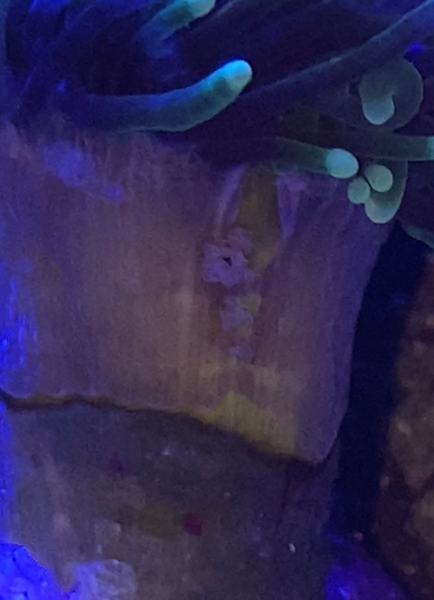 IMG_0774.jpeg