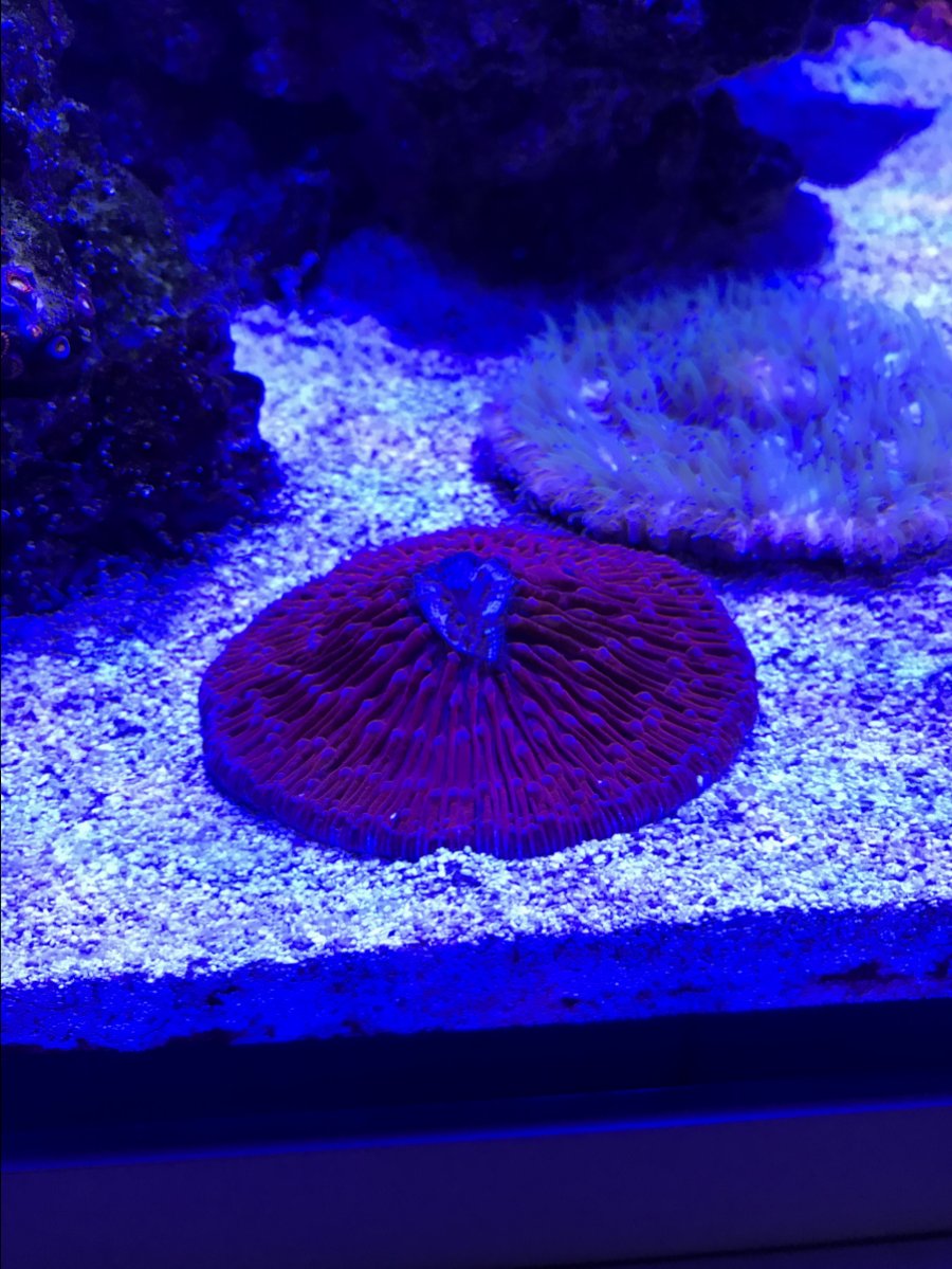 IMG_0783.JPG