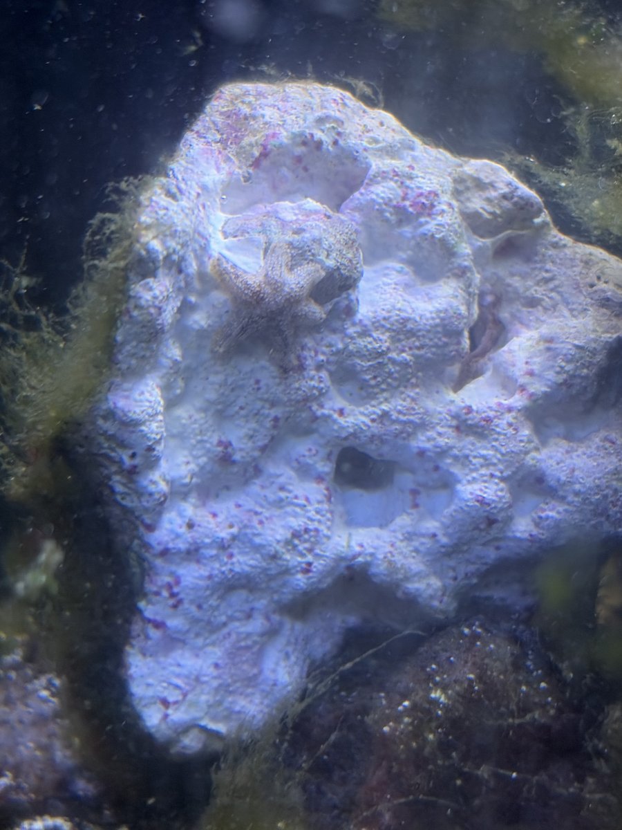 IMG_0784.jpeg