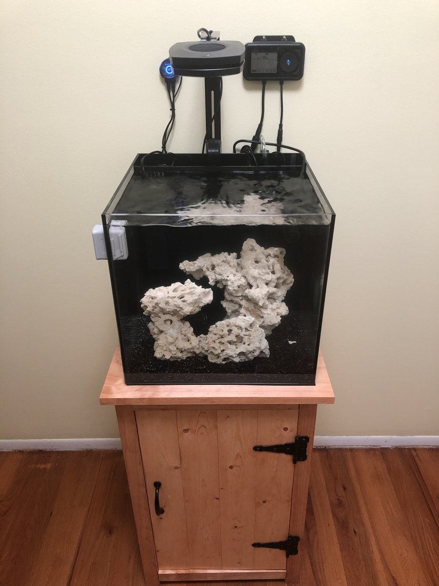 Build Thread - My journey in reef keeping 15 gal | Reef2Reef