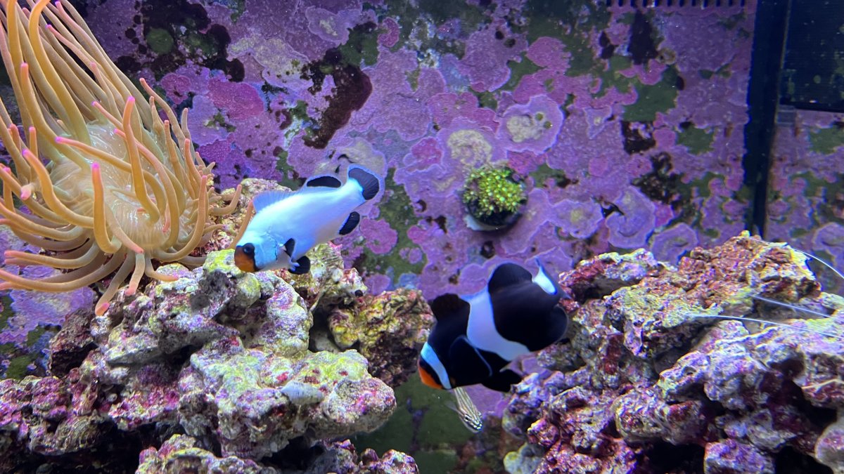 IMG_0794.jpg