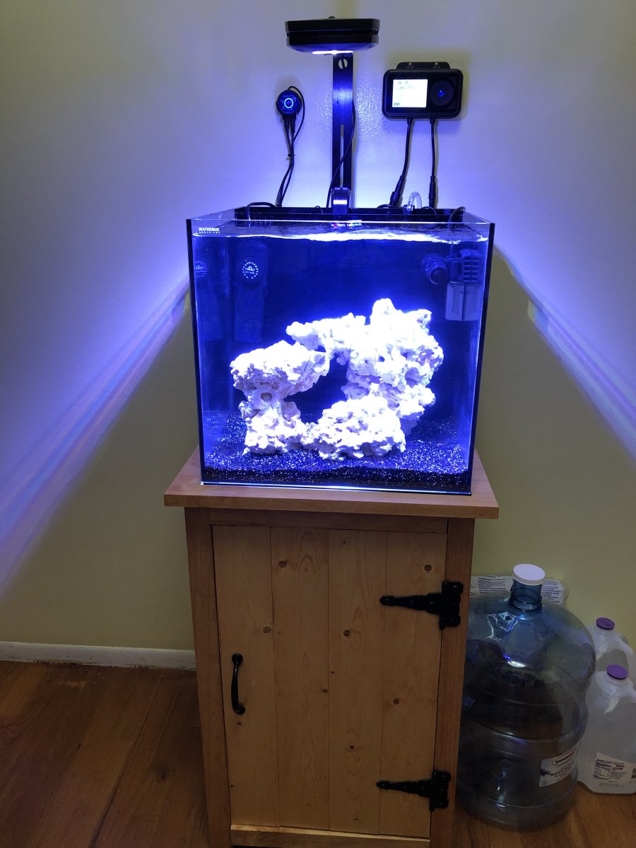 Build Thread - My journey in reef keeping 15 gal | Reef2Reef