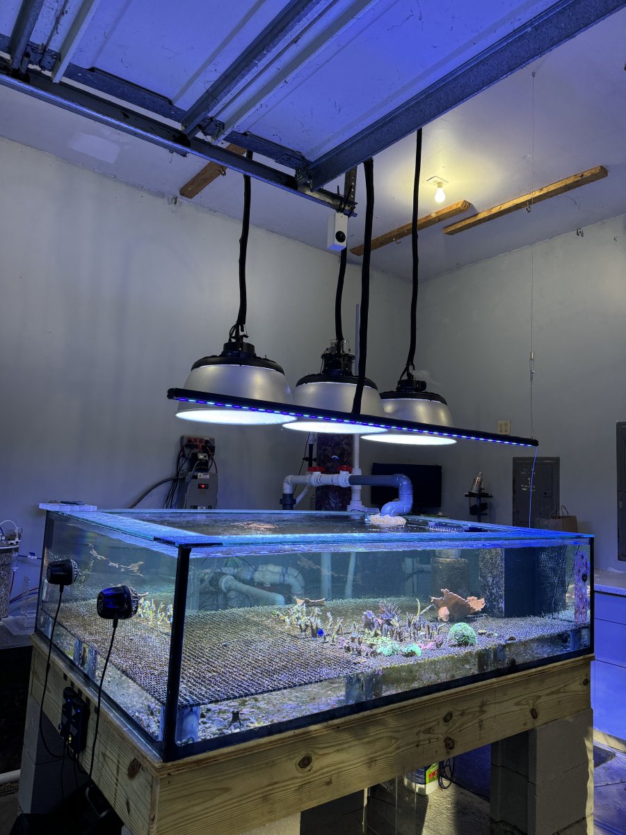 Frag Tank Lighting 48x96x12 | Reef2Reef