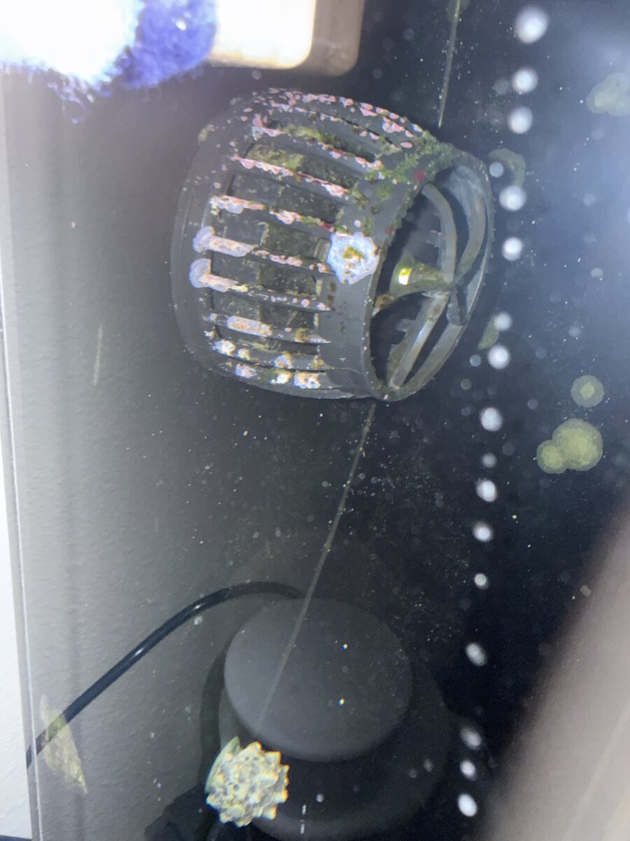 IMG_0805.jpeg