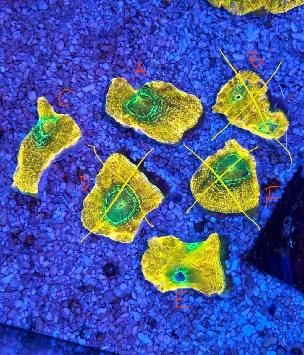 IMG_0806.jpeg