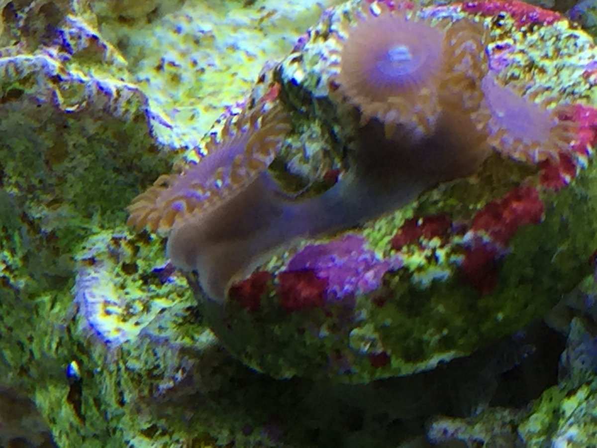 IMG_0808.JPG