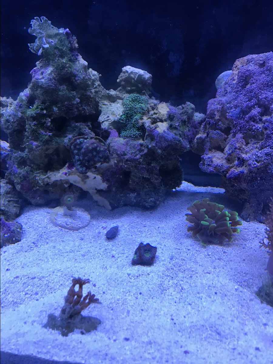 IMG_0809.JPG